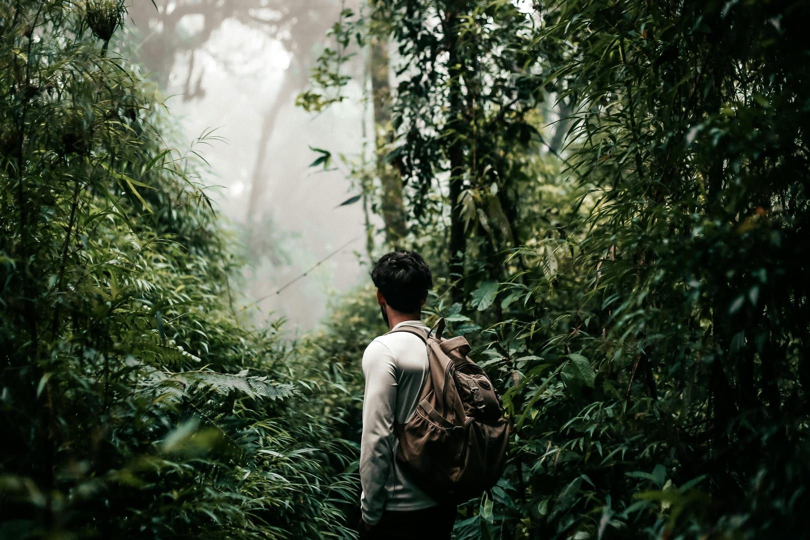 Exploring dense forest trails on Samui jungle expedition
