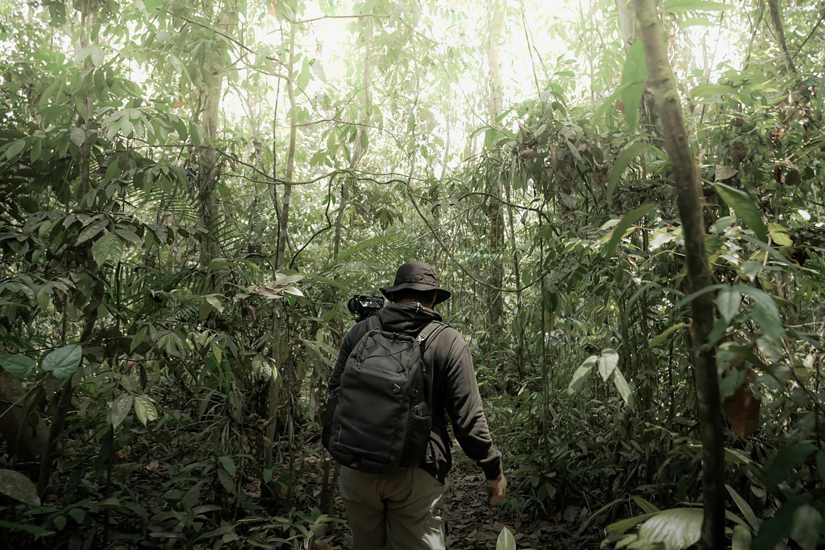 Photographer in dense jungle on guided hike Koh Samui primary rainforest
