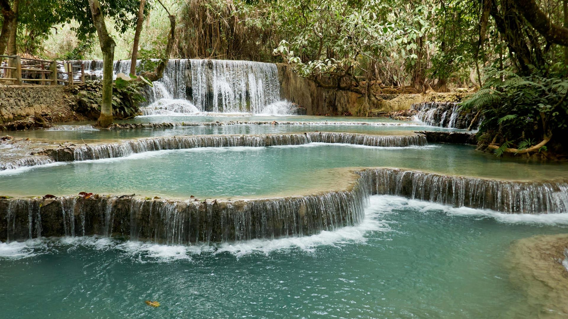 Lush forest canopy surrounding Khun Si Waterfall Samui