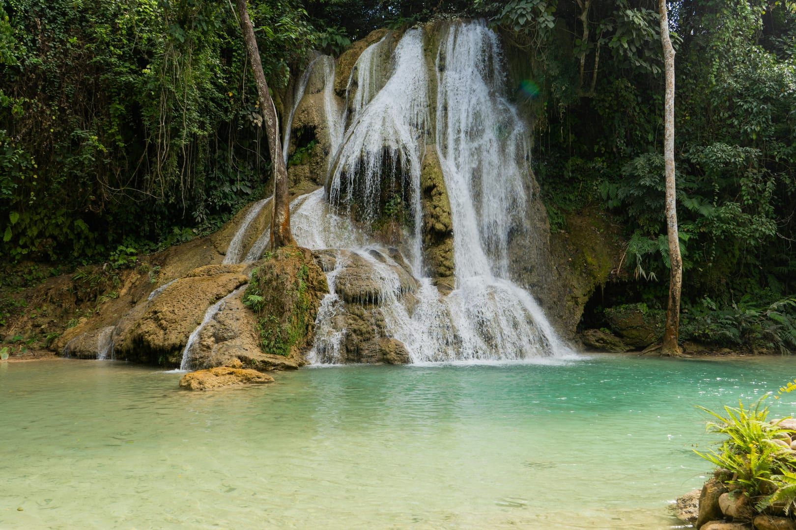 Jungle trail path to Khun Si Waterfall Koh Samui