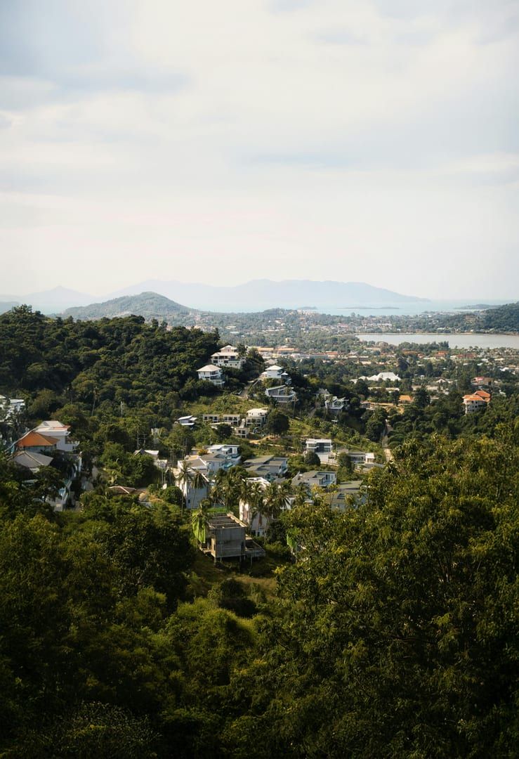 Sunlight filtering through the Samui jungle