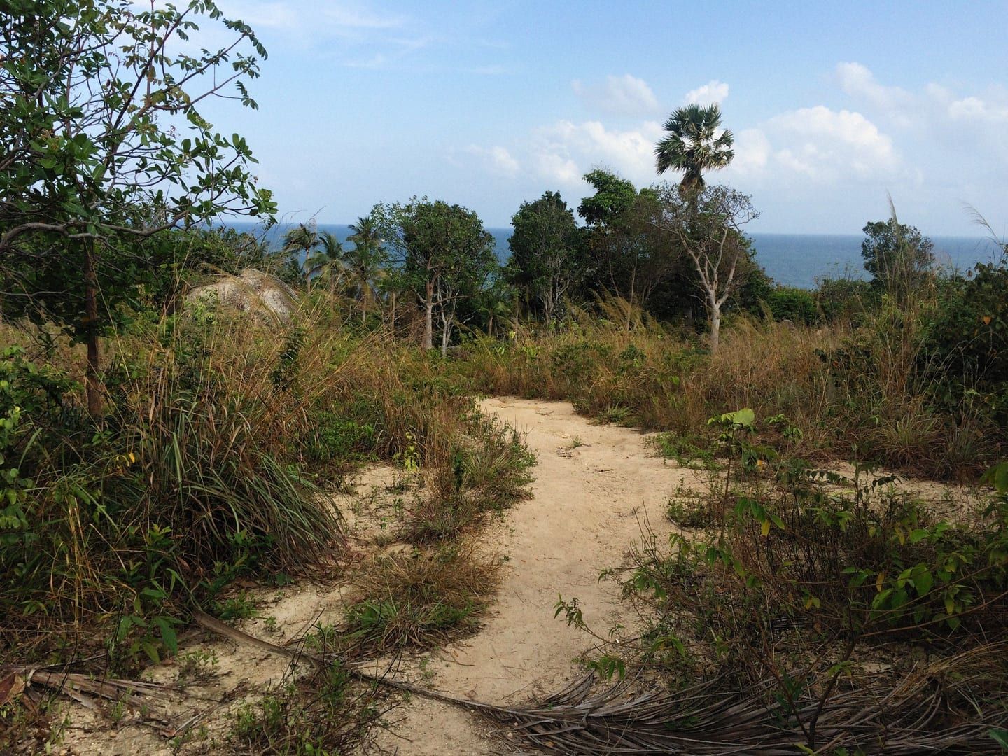 Dirt forest path with distant ocean views along the Koh Samui hiking guide route