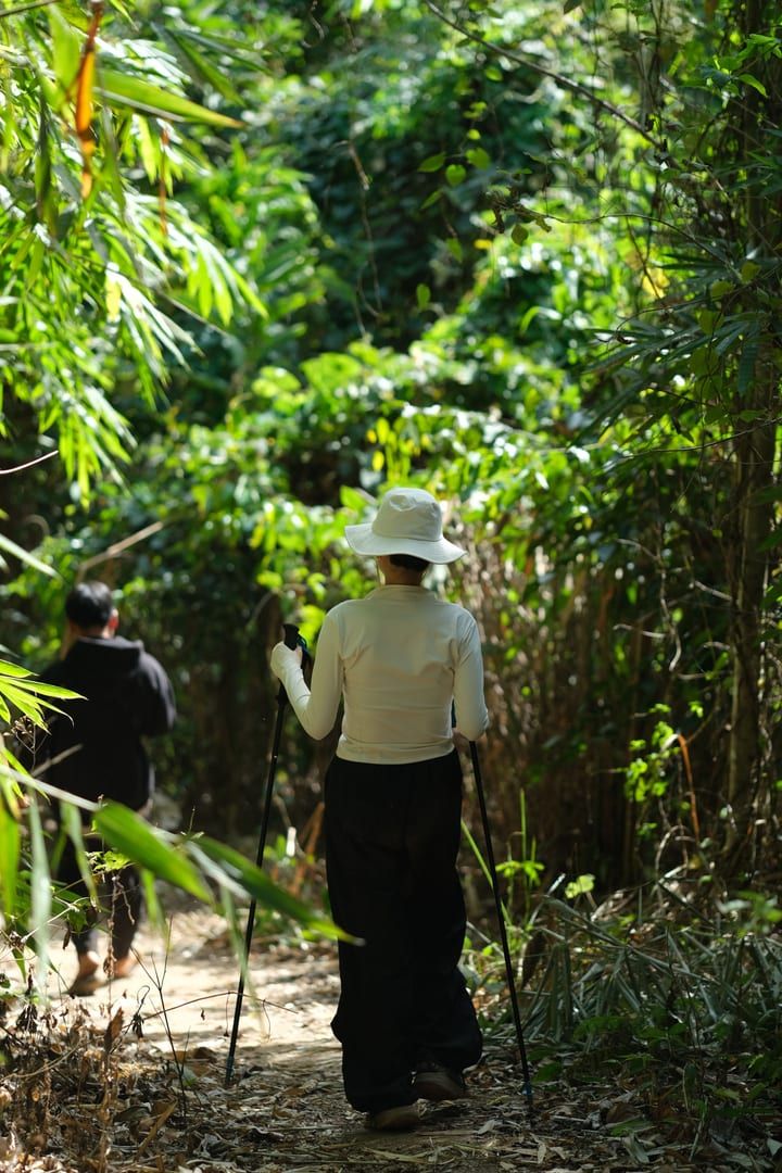Wanderer unterwegs durch üppig grünen Dschungelwald auf dem Koh Samui Monkey Trail