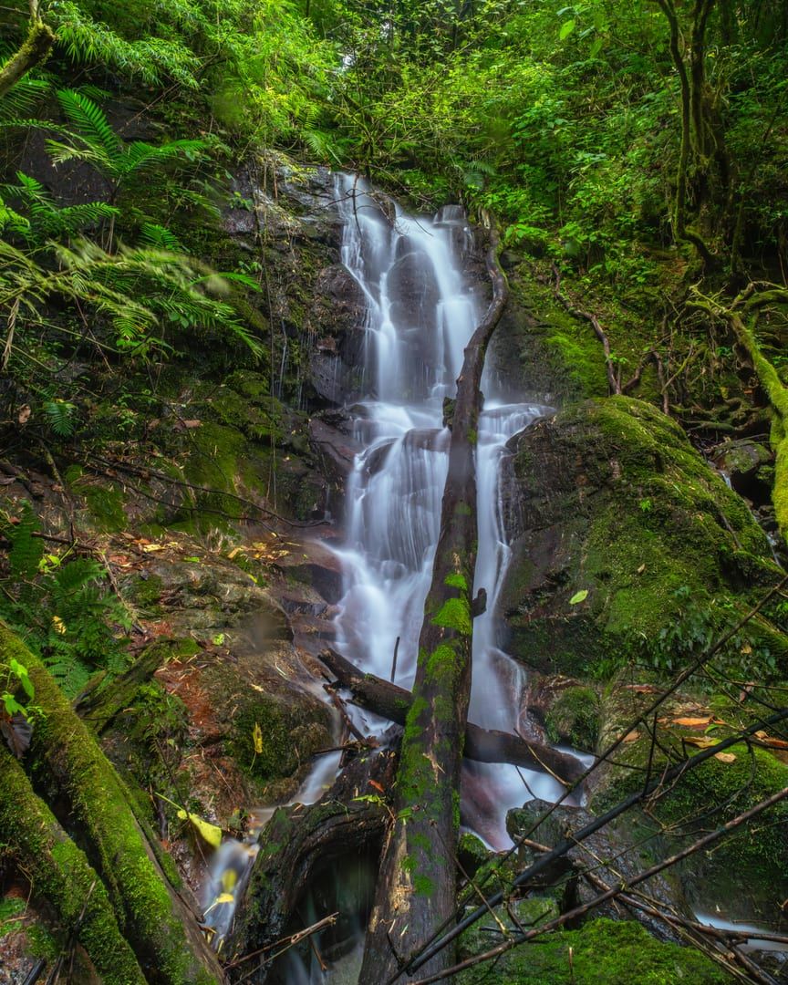 Majestic waterfall in lush forest on Koh Samui jungle trek