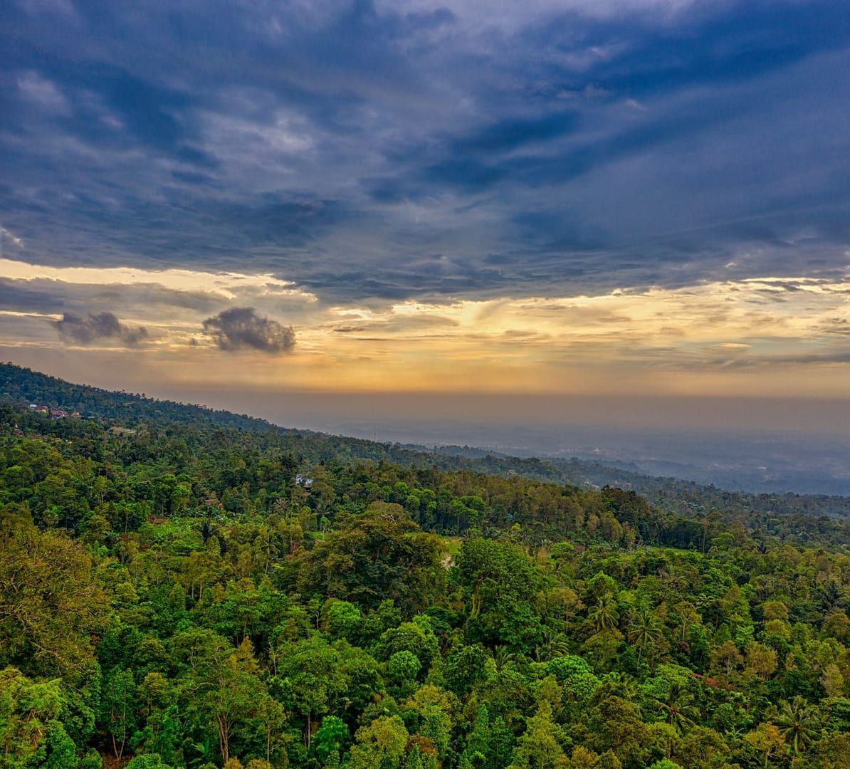 Lush green forest covering a steep mountain slope on the Nathon Mountain Ridge Trek Koh Samui