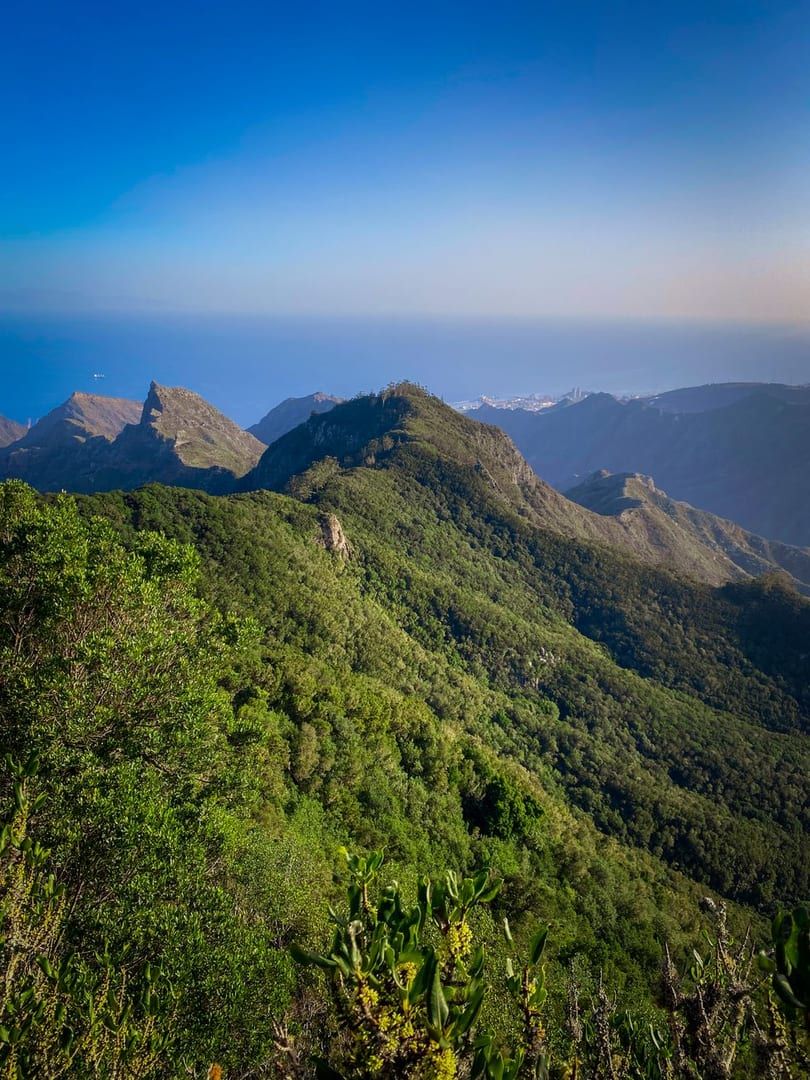 Lush mountain slope and ocean horizon typical of the Koh Samui ridge trek scenery