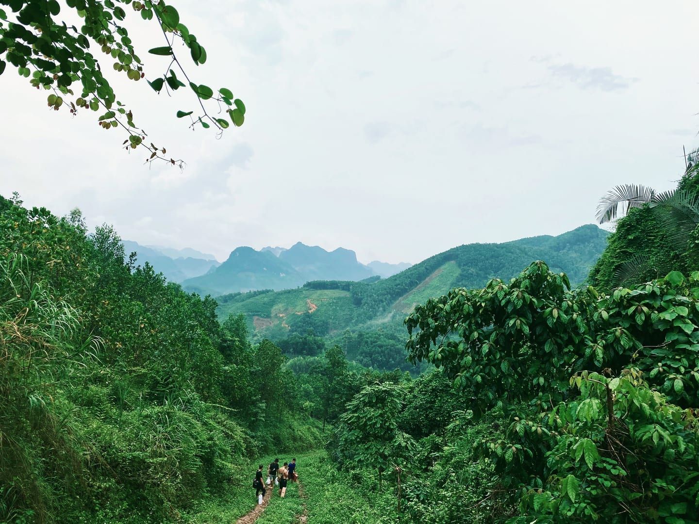 Samui 360 Viewpoint Trail — Hike to the Island's Best View