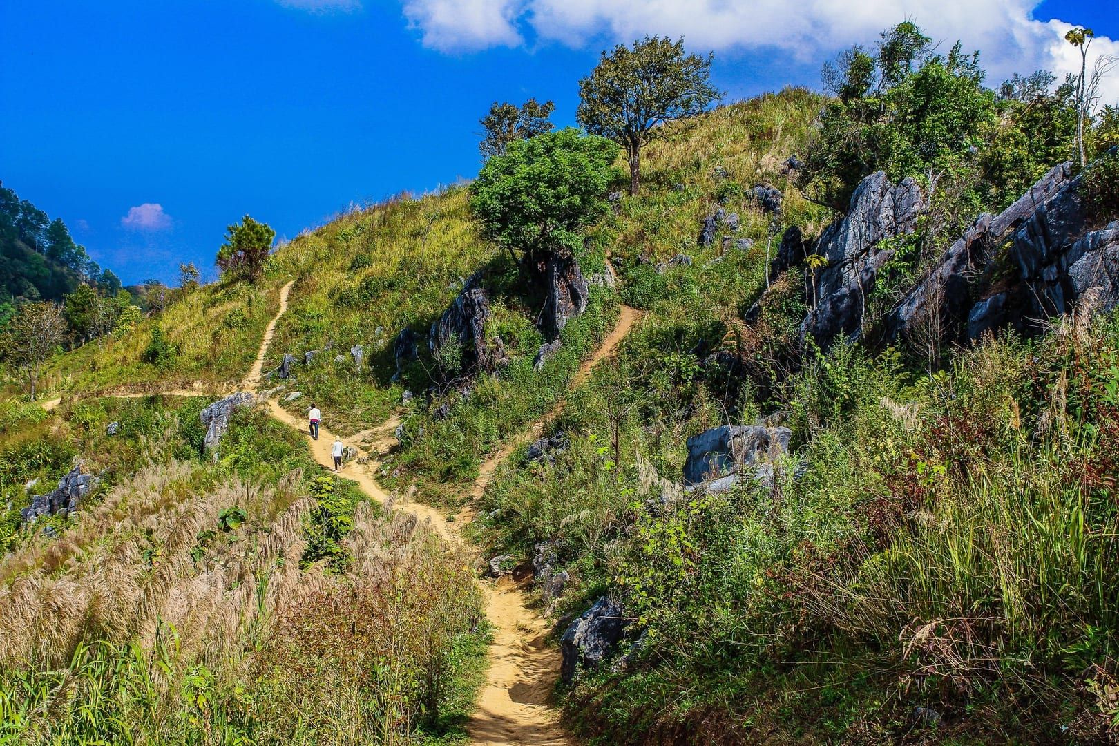 Steep green mountain hiking trail with blue sky near the Samui 360 viewpoint trailhead