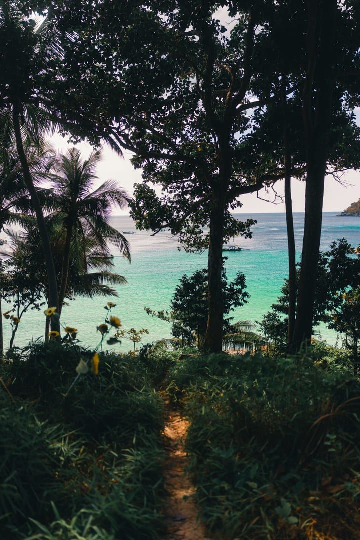 Scenic tropical pathway similar to the Samui mountain viewpoint trek route