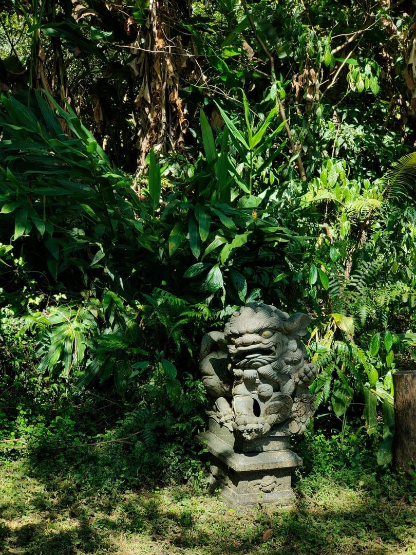 Moss-covered stone guardian lion statue beside the jungle trail on Koh Samui interior hike