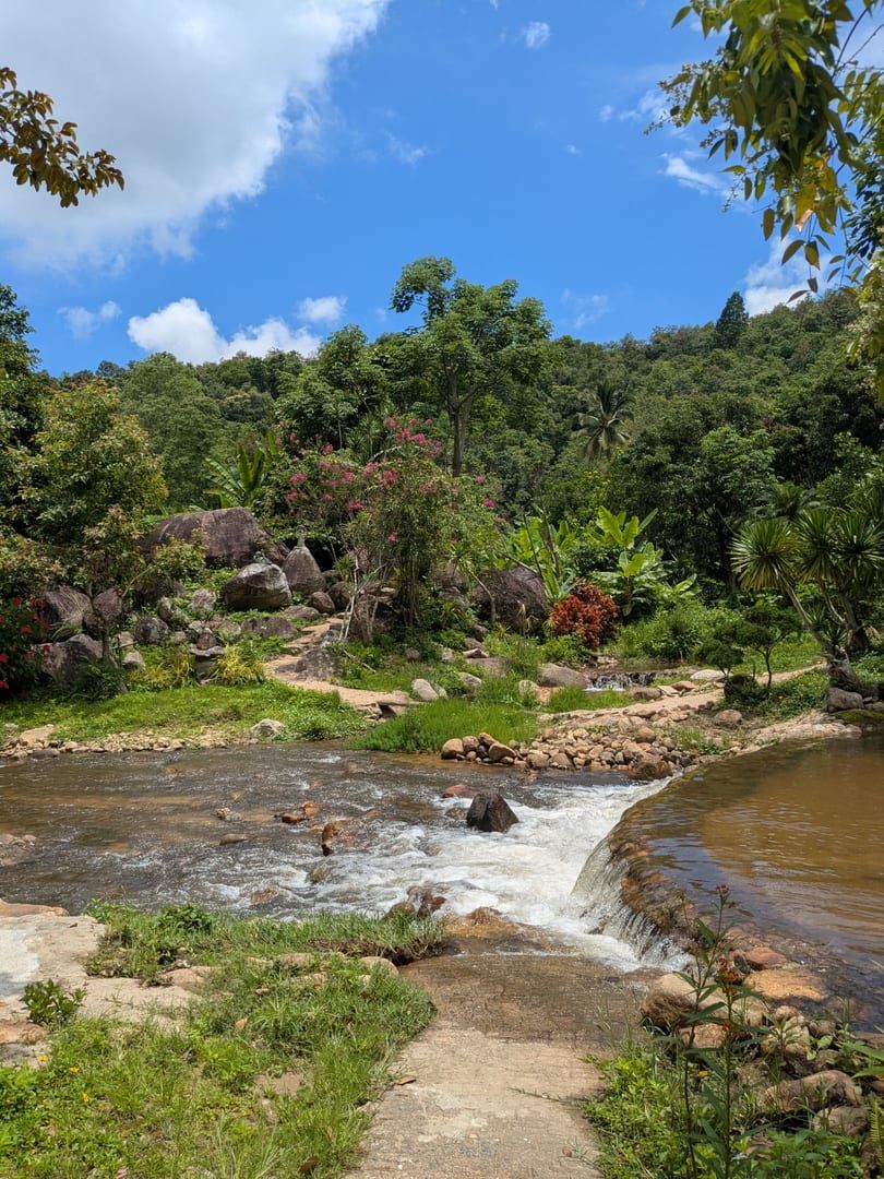 Lush tropical jungle terrain along the Tan Rua hiking trail near Maenam Koh Samui