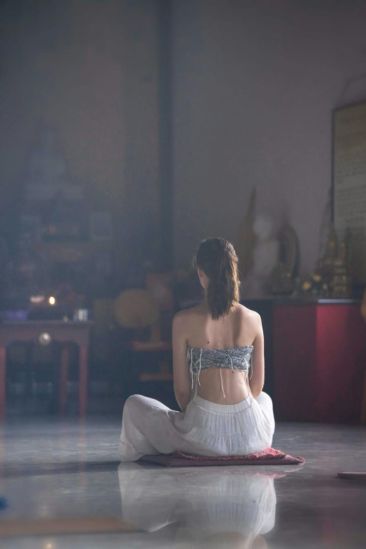 Walking meditation path through the coconut groves