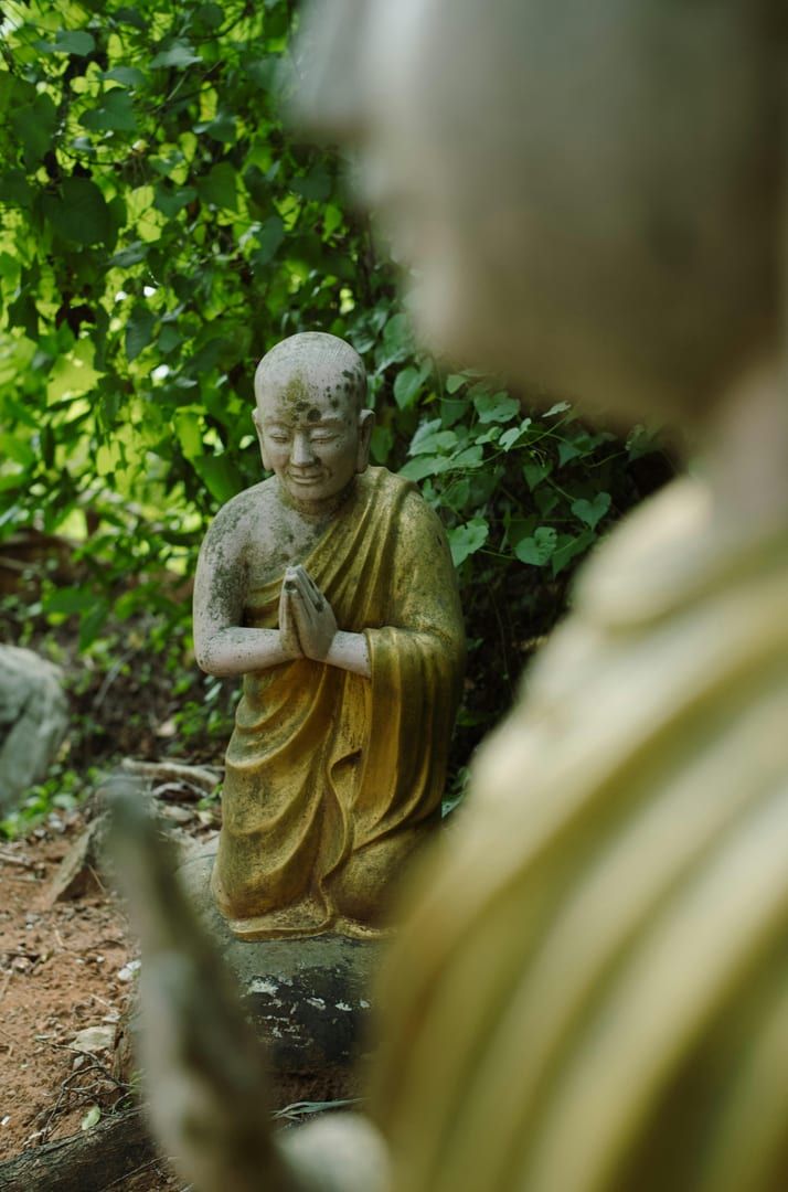 Lush tropical foliage surrounding the Magic Garden statues