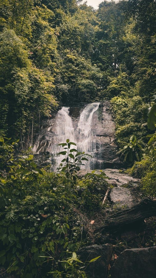 Stunning waterfall cascading through verdant jungle landscape at Hin Lad Koh Samui