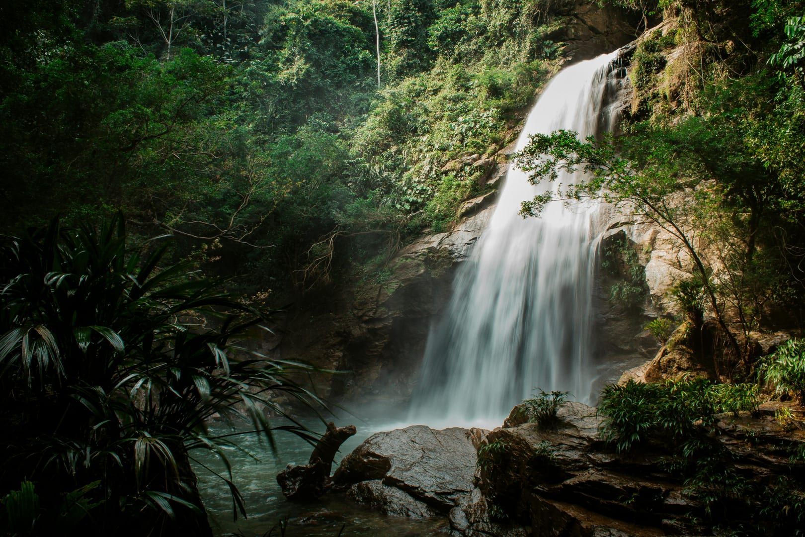 Peaceful forest scene at Khao Yai Waterfall