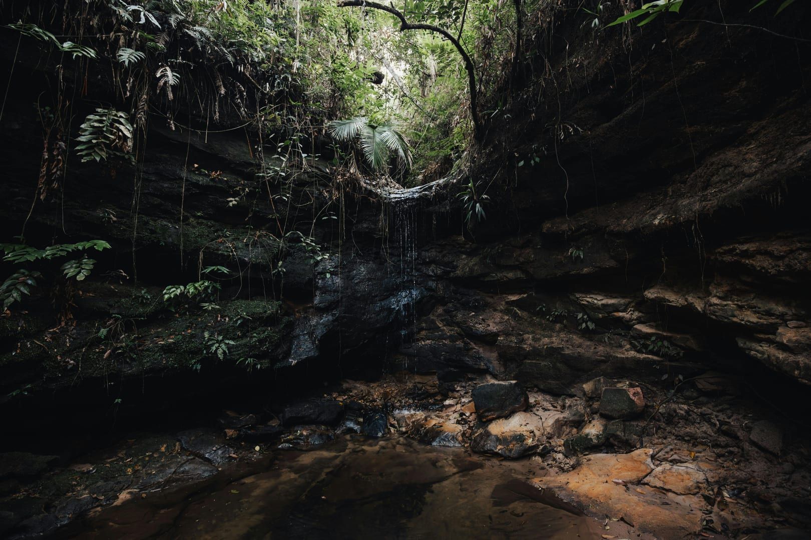 A quiet stream flowing through the jungle