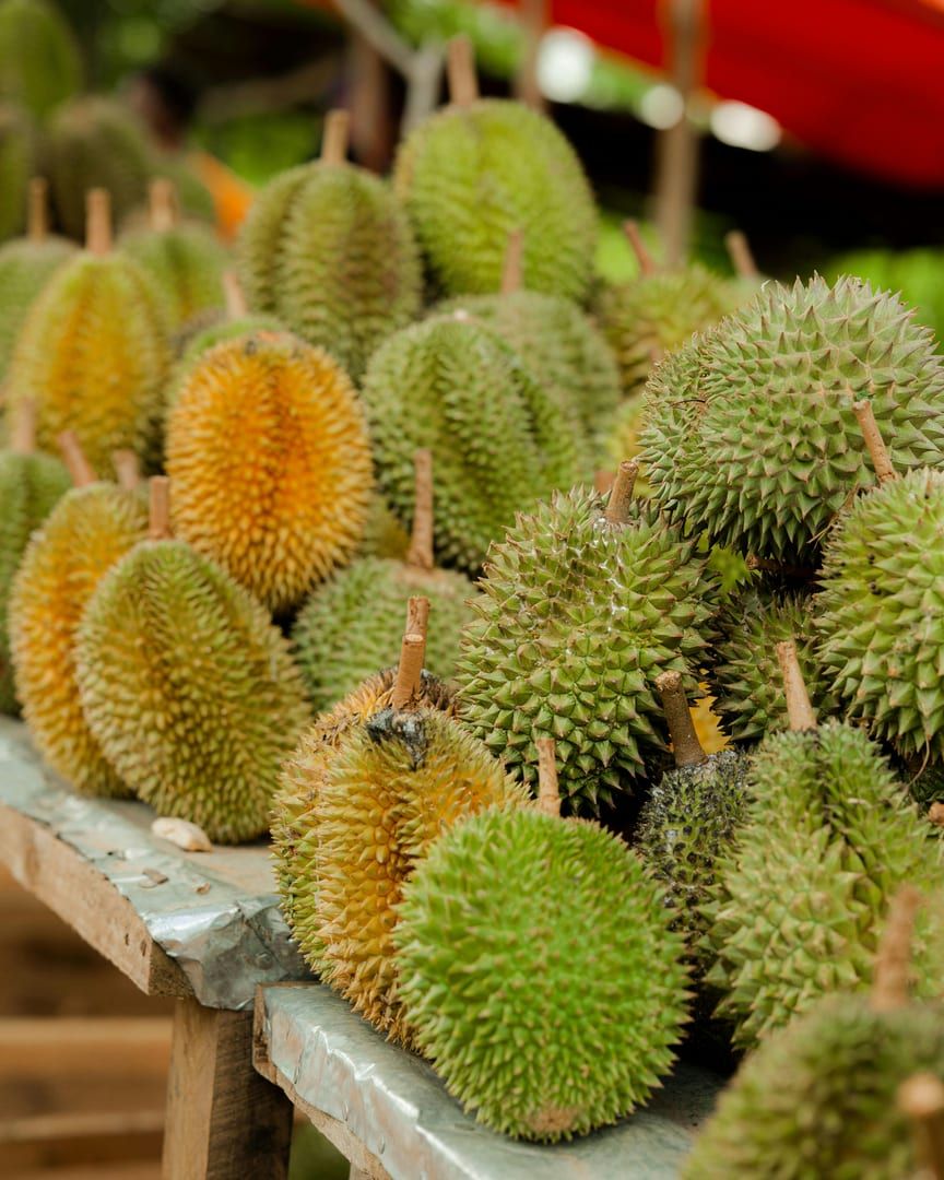 Tropical flowers blooming along the durian plantation path