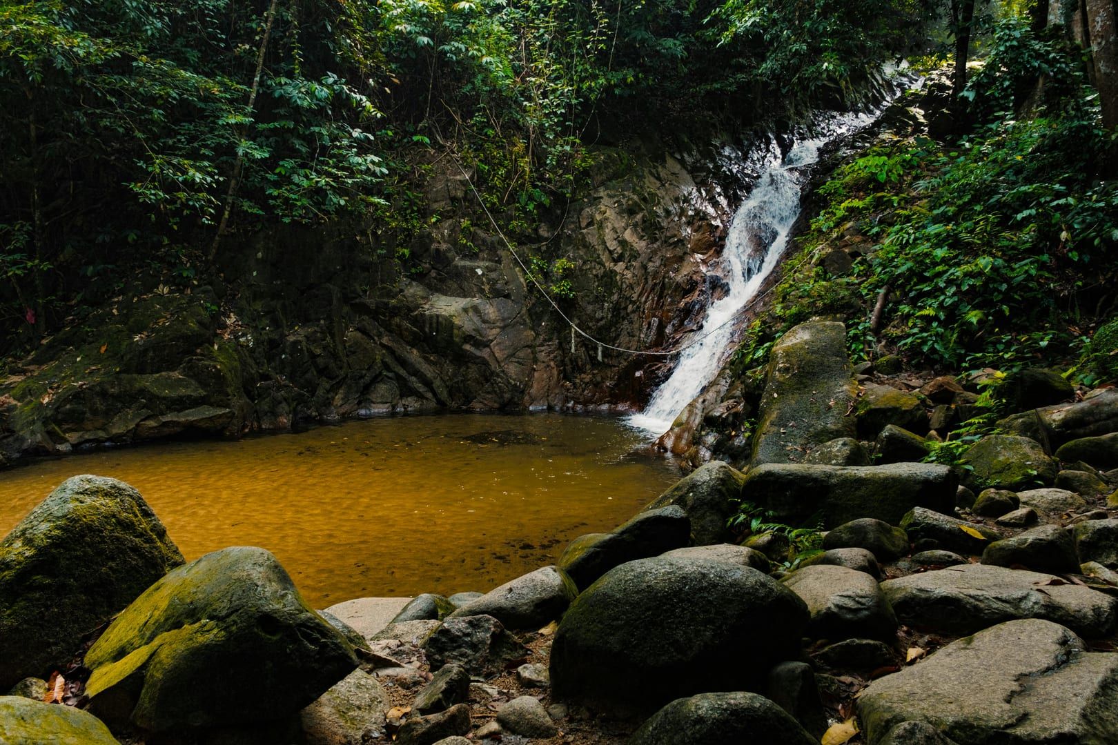 Challenging jungle path with boulders and roots at Lat Wanon