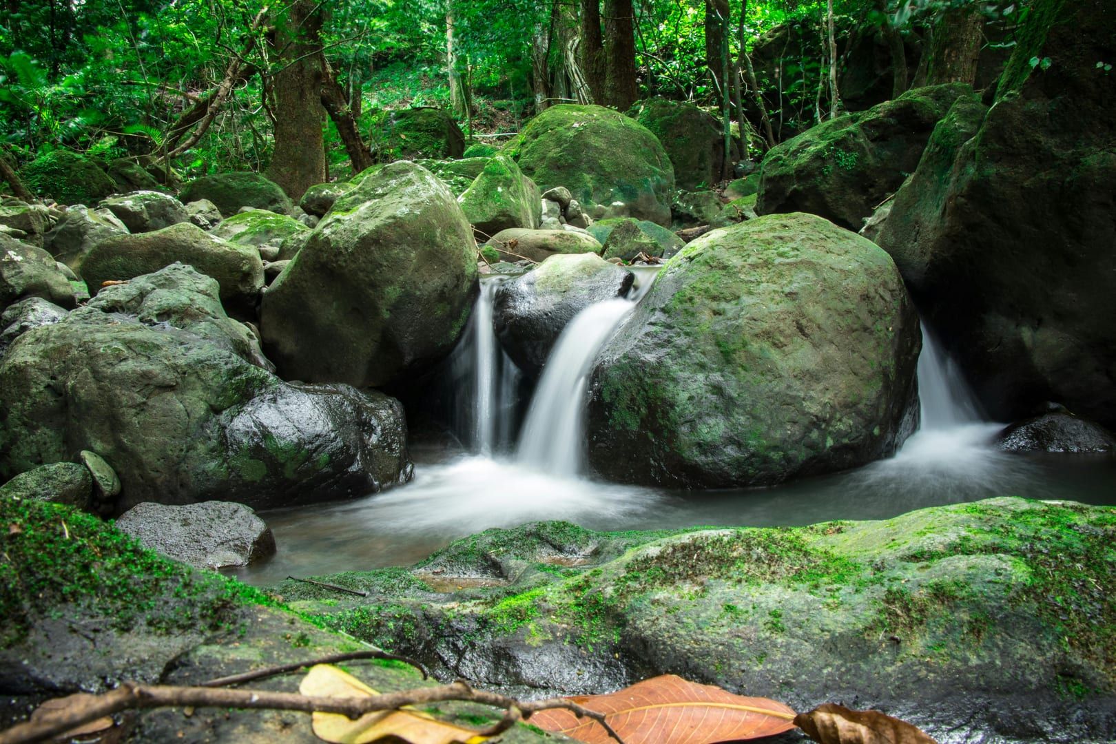 Water cascading over mossy rocks at Lat Wanon