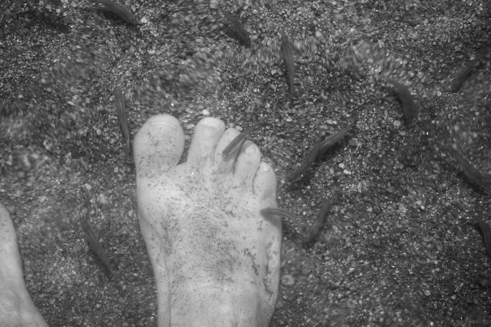 Close-up of water flowing over dark rocks at Sivatara