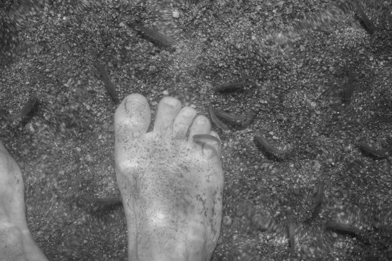 View of the Lamai coastline from the upper viewpoint
