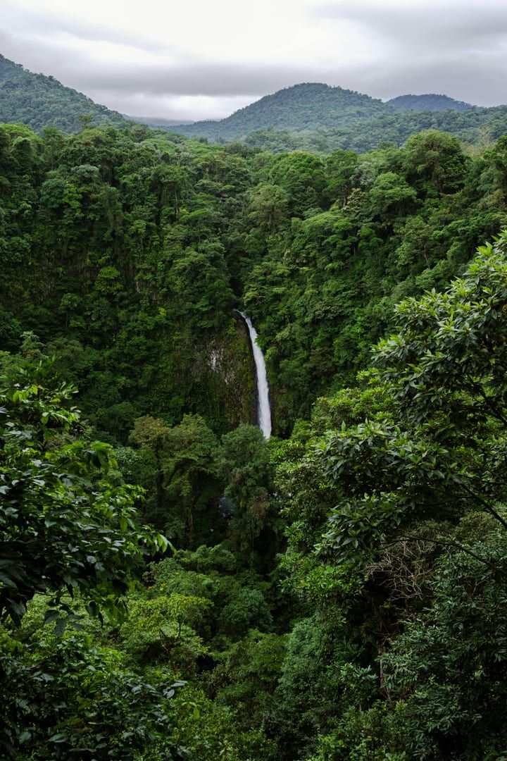 The suspension bridge at Tree Bridge Coffee near Tan Rua Waterfall