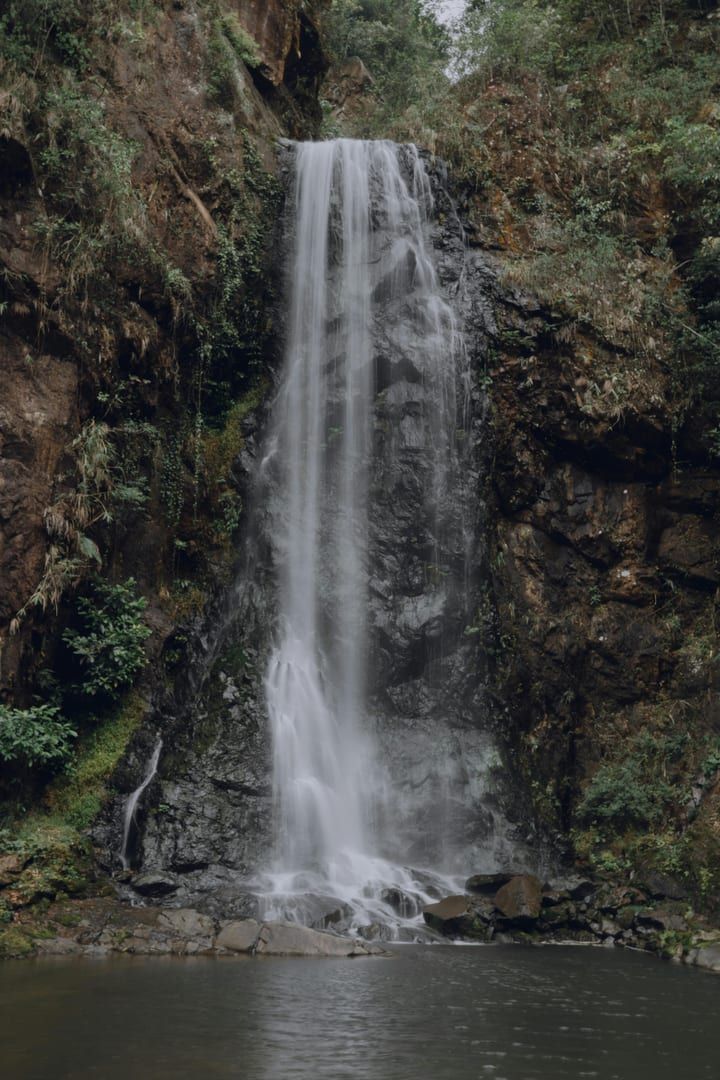 Deep jungle greenery in the Maenam valley