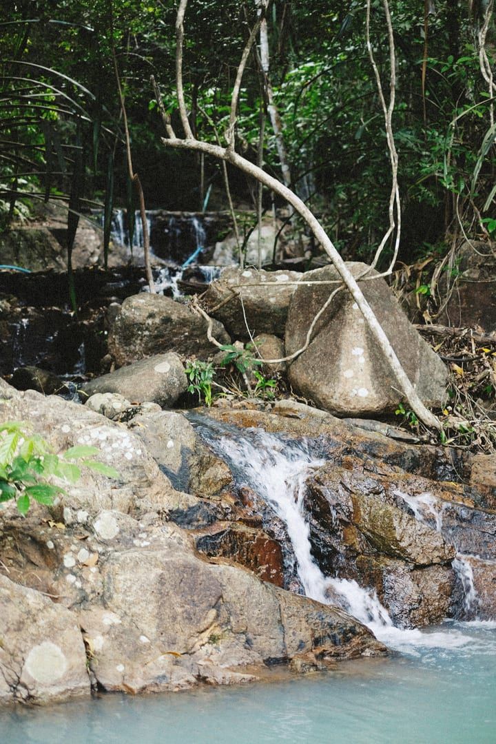 Tranquil forest stream flowing over rocks in Tarnim Magic Garden Samui jungle garden