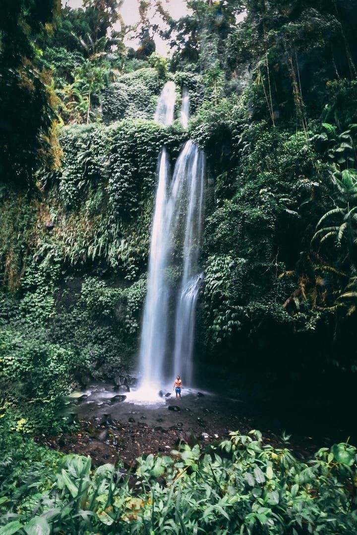 Lush rainforest vegetation surrounding Tartain Waterfall
