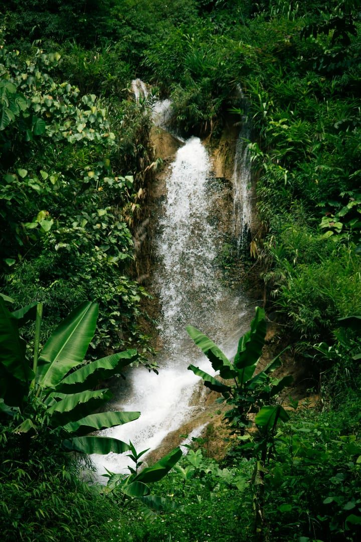 Sunlight filtering through the canopy at Tartain Waterfall