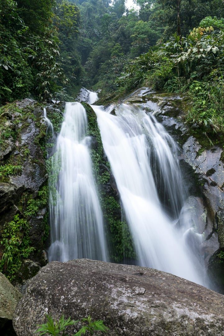 Water flowing over mossy rocks on Samui jungle hike