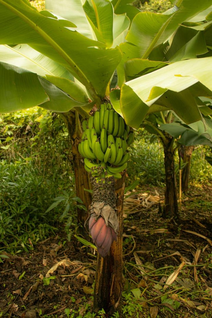 Detailed view of rocks and water flow at Zong Raue Waterfall