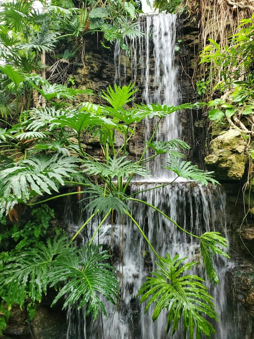 Water flowing over dark rocks into a pool