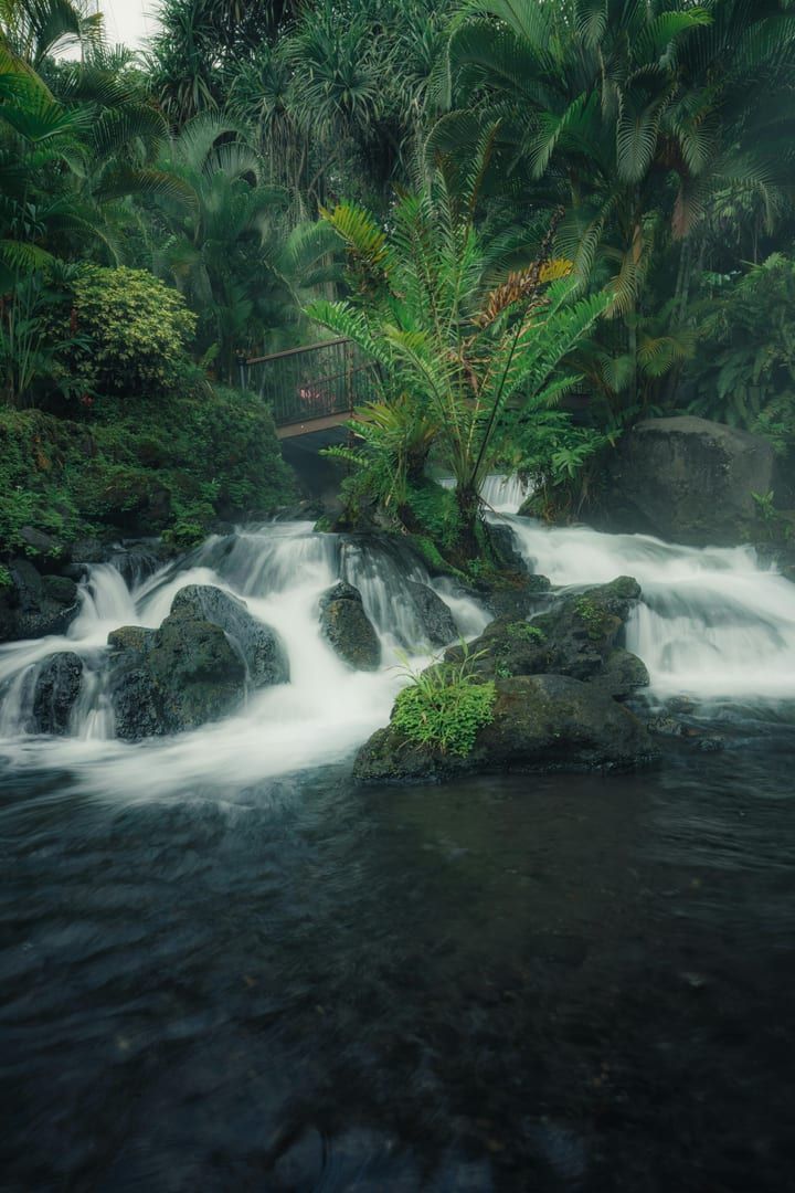 A quiet moment at the base of Zong Raue Waterfall
