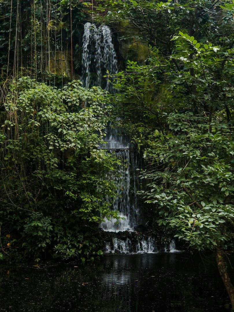 Sunlight hitting the stream above the waterfall